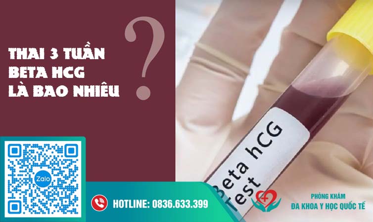 Thai 3 tuần beta hCG là bao nhiêu?