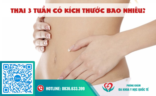 Thai 3 tuần có kích thước là bao nhiêu?