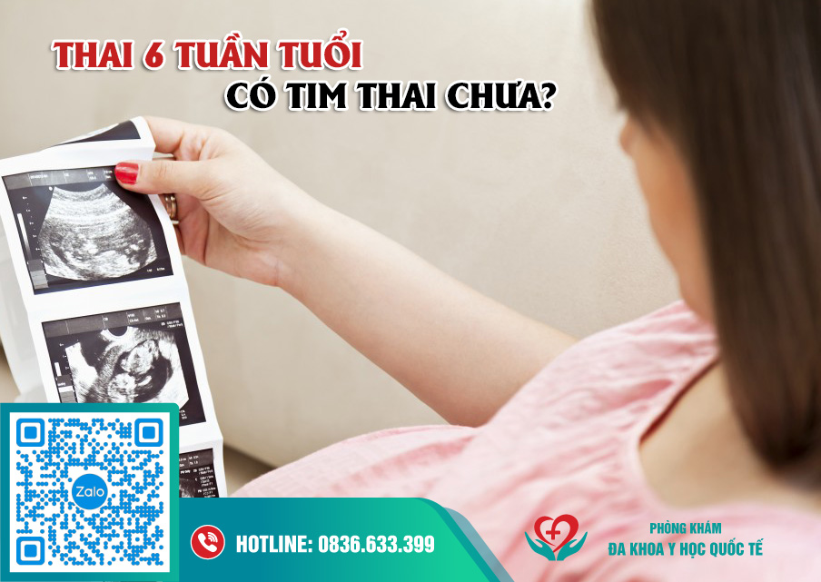 Thai 6 tuần tuổi có tim thai chưa? - Đa khoa Y học Quốc tế